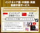 医学部卒ネイティブがインドネシア語中国語翻訳します 中国・インドネシア人の合計17億人の市場に訴える。 イメージ4