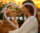 愛しているペットの気持ち♡ペットロスのお話聞きます 楽しい思い出♡一緒に過ごした日々♡ペットちゃんの話だけでも◎ イメージ1