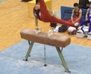前転、後転、側転などのマット運動の技を教えます マット運動が苦手なお子様、技を習得したい方へ！ イメージ2