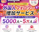 Instagramの外国人フォロワー増やします 5000人増加。複数購入で割引あり！ イメージ10