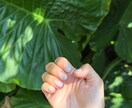 指先から整うネイルデザインします ネイリスト歴15年屋久島から今のあなたに必要な色を イメージ1