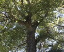 私の根幹である福祉の経験を提供します 福祉の世界で生きてきた私の経験を受け取ってください。 イメージ6
