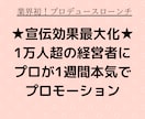 究極の宣伝★経営者1万人超にプロモーションします プロデュース！プロが台本＆文章作成し1週間全力ローンチします イメージ1