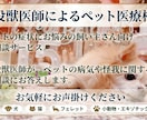 現役獣医師が、ペットの病気についてご相談に応じます 犬・猫・フェレット・うさぎ等に関してのご相談をお受けします。 イメージ1