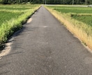 オスグッドのつらさを解決します あなたに合った簡単なエクササイズで。膝がみるみる楽になる。 イメージ1