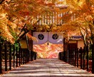 お二人の未来♦︎結ばれる可能性と将来を視ます 片思い・復縁・結婚・好きなあの人との未来を霊視 イメージ2