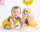 遊びながら撮る！わんちゃんと家族の記念を撮ります 大切な家族のわんちゃんとの、一生の思い出をプロが撮影します。 イメージ5