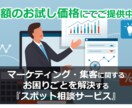 マーケティング・集客をスポットでコンサルします マーケティング課題を60分×2回のビデオチャットで解決支援！ イメージ1