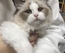 とにかく話を聞いて欲しい人、待ってます 相談・悩み・愚痴なんでもOKです！ イメージ1