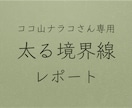 あなたの太る境界線を見つけます この境界線を知るまでは、ダイエットは始めないでください！ イメージ3