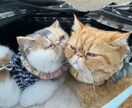 5分でも♡3分でも1分でも♡電話でお話し聴きます ちょっとだけでもお話ししていきませんか♡ イメージ1