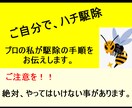 プロの私が、ハチ駆除の方法お伝えします ご自分でも駆除出来ますが、間違えるととんでもないことに！ イメージ1