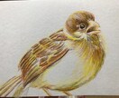 ペットのイラストを描きます あなたのお気に入りのペットを好きな色で残す イメージ5