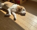 お疲れ様です。アナタ様のお気持ちに寄り添います 福祉医療業界32年…転職10回…現役ナースがお答えします。 イメージ2