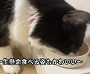 簡単なロングやショートの動画編集します カットだけ、字幕だけOKSEやBGM挿入もできます イメージ6