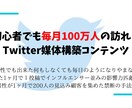 あなたにもTwitter運用の可能性を持たせます 3ヶ月で100万Twitterでアクセス イメージ1