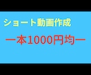 SNSショート動画作成　1000円で承ります １つの動画につき1000円で承ります。 イメージ1