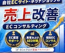 自社ECサイト運営をコンサルティングいたします 豊富な経験を持つEC専門家がECサイト運営の悩みを解決！ イメージ1