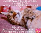 猫のオラクルカードでメッセージを届けます ネコ世界から届く愛と癒やしのスピリットメッセージ イメージ4