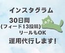 インスタ歴8年！インスタグラムの運用代行をします canvaを使い素敵な商品の魅力を伝えます！集客/来店/購入 イメージ1