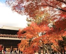 史跡名勝,風景写真素材提供します 京都滋賀の四季折々の史跡名勝,風景写真素材データを提供します イメージ2