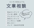 文章を書く仕事をうまく進めたい人の相談にのります 上司や客先に出す前にこっそり相談してください イメージ1
