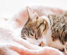 明日が来るのが嫌で眠れない人へ、お話し聴きます 1分からOKです！違うなと思ったらすぐ終了も可能です◎ イメージ1