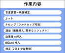 まずは安く動画編集を依頼したい方！お試し編集します 1分間のお試し編集で判断してください！高品質で納品します！ イメージ3