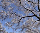 1分からでもOK～♬あなたのお話しお聞きします 今すぐ話したいお悩みや愚痴何でもお話下さい✩.*˚ イメージ2