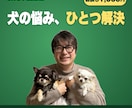 犬の悩みをひとつだけ｜プロが本音でお答えします 毎日のちょっとした「？」を、プロがすっきり整理します。 イメージ1