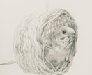 ペットの似顔絵を手描き原画で制作します お写真をもとに、ハガキサイズのペット肖像画を制作いたします。 イメージ10