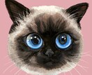 可愛くてオシャレなペットの絵描きます お顔のアップがかわいい似顔絵です! イメージ3