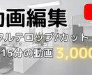 動画へのフルテロップ・カット行います 迅速かつ丁寧に！3000円/15分！！ イメージ1