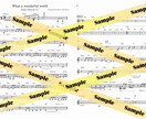 現場仕様の楽譜【リードシート・清書】制作いたします バンドやジャムセッションに使える、あなたと共演者のための楽譜 イメージ4