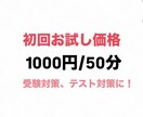 お試し用！中学生をメインに指導します 高校受験の指導が得意です。指導経験を活かして丁寧に教えます イメージ1