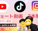 ショート動画を2本制作します 視聴者の心に届くテンポとデザインで、あなたの想いを形にします イメージ1