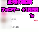 Tiktokフォロワー拡散で1000増やします 提携先の海外インフルエンサーの宣伝、拡散によりフォロワー増加 イメージ1