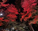 あなたの悩みや愚痴を聞きます 人生のどん底を味わったからこそ人の痛みや苦しみがわかります イメージ1