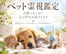 ペット霊視鑑定|言葉にならない心の声をお届けします 言葉を話せないその子の想いを、丁寧に読み解きます イメージ1