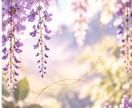 このままでいいのかな…その迷いのヒントお伝えします 動く？待つ？人生の決断を霊視・算命学などで30分じっくり鑑定 イメージ6