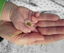 なんか虚無感、空っぽな心の声を聞きます 自分の気持ちもどうしたらいいかも分からない。全部話そう。 イメージ6
