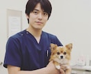 獣医師が回答手術や治療のセカンドオピニオン承ります ～「手術が必要」と言われた方、病院の説明が難しかった方へ～ イメージ1