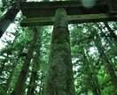 あの人の気持ちを知りたい！この恋絶対叶えたい！　相手の気持ちと対策を霊感霊視タロットで鑑定 イメージ1