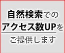 なるべく自然な形でアクセスを提供します 試験運用中に付き、先着９名様格安でご提供！ イメージ1