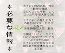 虹の橋からのメッセージ✨お伝えします 虹の橋へ旅立った子の思い・暮らし・お伝えします。 イメージ3