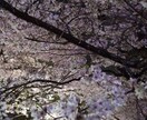 即席！！すぐ出来る手相を占います 自分の手相について興味がある方 イメージ1