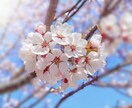ちょっと聞いて♡相談、雑談など何でも受け止めます どんな話題でもOK！あなたのお話ししたいことを話してください イメージ2