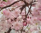 お悩み相談、霊視鑑定します 仕事、人間関係、恋愛のお悩みごと、気づけば現実は変わります イメージ1