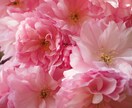 あらゆる東洋占術で鑑定します 出品占術すべてを使い鑑定します！ イメージ2