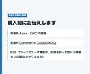 Salesforceの設定の相談と代行を承ります 元セールスフォース技術職|相談から設定まで イメージ8